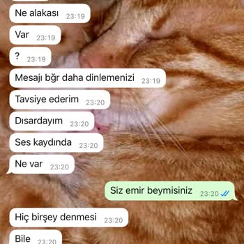 S**** P****'ta Müşteri Hizmetleri Sorunu