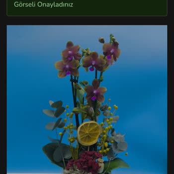 Yanlış Ve Eksik Çiçek Teslimatı: Doğum Günü Hayal Kırıklığı