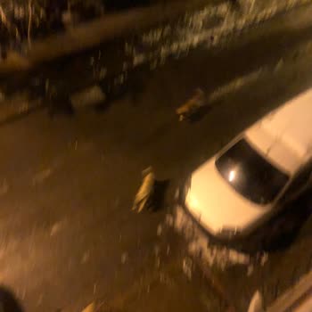 Başıboş Köpekler Tehlike Saçıyor