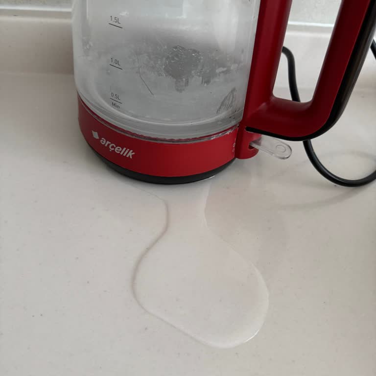 Arçelik Çaycıda Bitmeyen Sorunlar