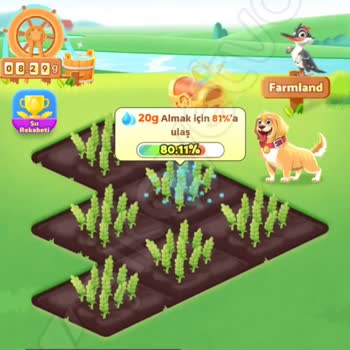 Temu Farmland Etkinliği Hüsranı!