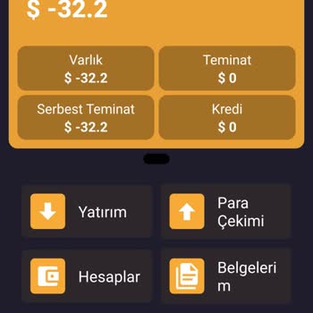 Yatırım Şirketinde Hayal Kırıklığı