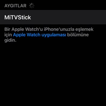 JBL Kulaklık Bağlantı Sorunu