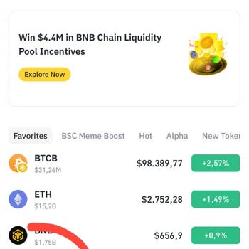 Binance Üzerinde Kaybolan Coin Ve Mağduriyet