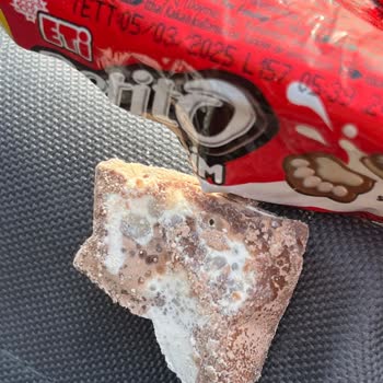 Küflü Ürün Ve İlgisizlik