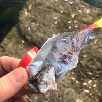 Küflü Ürün Ve İlgisizlik