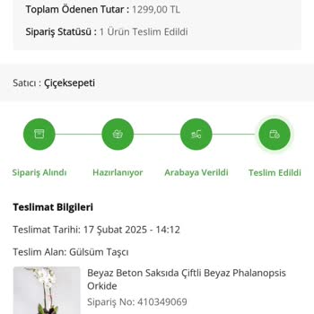 Solmuş Orkide Ve Eksik Saksı Sorunu