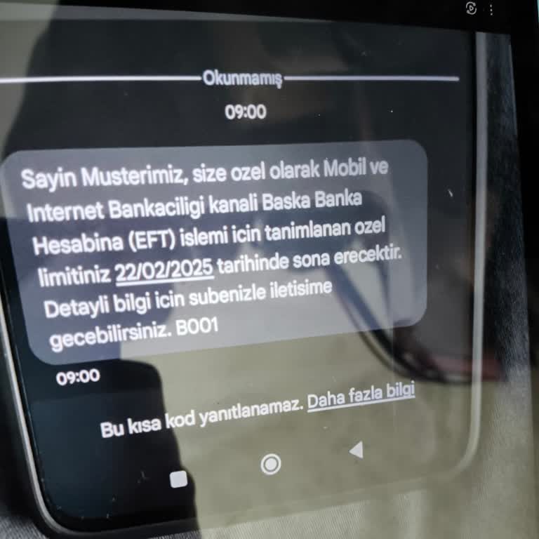 Ziraat Bankası'nda EFT Limiti Sorunu Ve Bekleme Çilesi