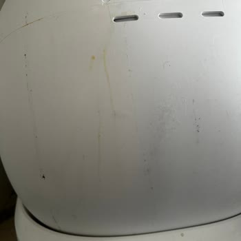 Evofone Teknik Servis Ve Petkit Pura Max Hayal Kırıklığı