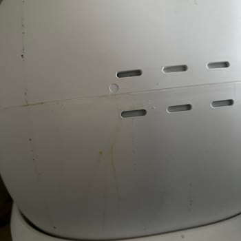 Evofone Teknik Servis Ve Petkit Pura Max Hayal Kırıklığı