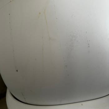 Evofone Teknik Servis Ve Petkit Pura Max Hayal Kırıklığı