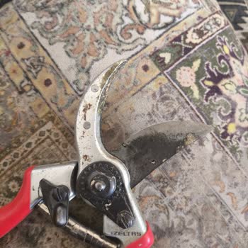 İzeltaş Bağ Makası Pim Sorunu Ve Yedek Parça Eksikliği