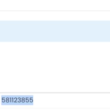 Shipentegra'nın Gümrük Vergisi Sorunu