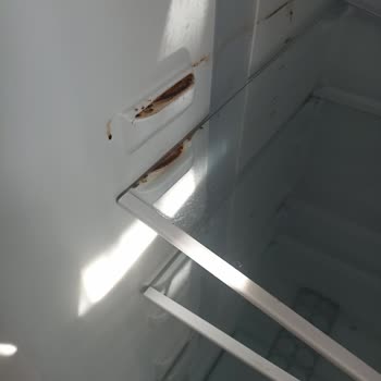 Beko Buzdolabında Bitmeyen Koku Sorunu