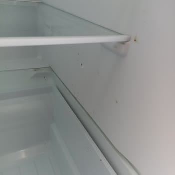 Beko Buzdolabında Bitmeyen Koku Sorunu