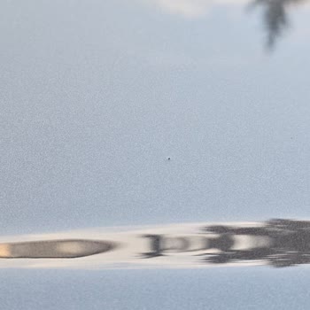 Hyundai Sold Me a 2024 Tucson With Factory Paint Defects