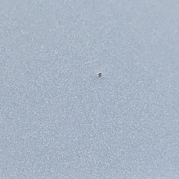 Hyundai Sold Me a 2024 Tucson With Factory Paint Defects