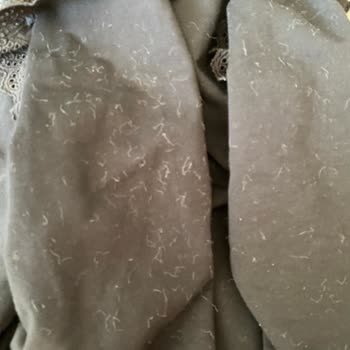 Koton'dan Aldığım Peluş Kaban Tüy Sorunu Yaşatıyor