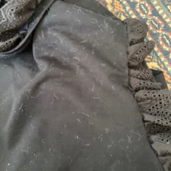 Koton'dan Aldığım Peluş Kaban Tüy Sorunu Yaşatıyor