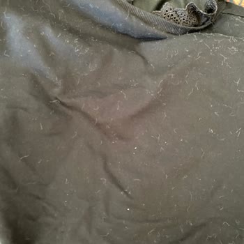 Koton'dan Aldığım Peluş Kaban Tüy Sorunu Yaşatıyor