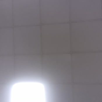 Pi Uygulamasında Şifre Sıfırlama Sorunu