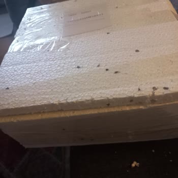 Ücret İadesi Ve Analiz Sürecindeki Gecikme Mağduriyeti