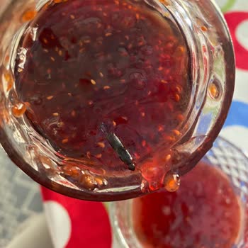 Ahududu Reçelinde Böcek Şoku: Sağlığımız Tehlikede!