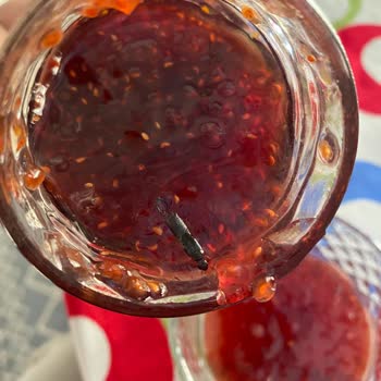 Ahududu Reçelinde Böcek Şoku: Sağlığımız Tehlikede!