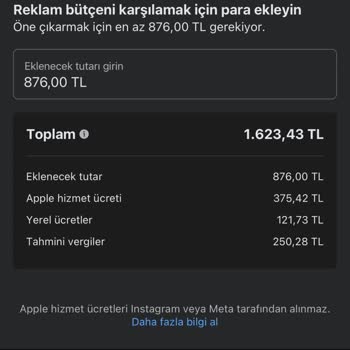 Reklam Bütçem Kayıp: Meta Üzerinde Bakiyeme Ulaşamıyorum