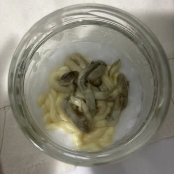 Küflü Saç Boyası Ve Belirsiz Son Kullanma Tarihi