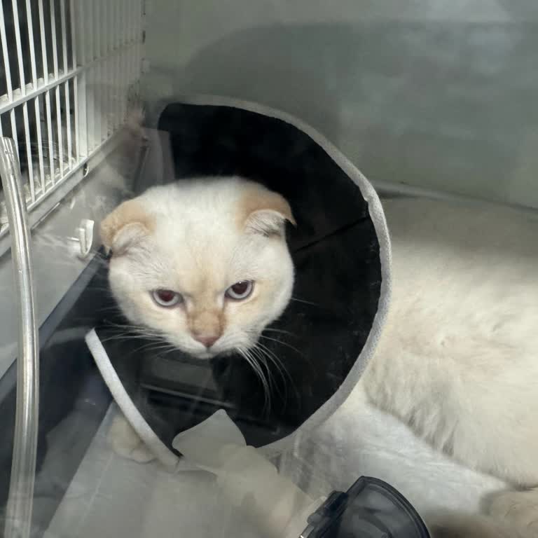 Sanatoryum Veteriner Kliniği Tamamen İhmalkâr Bir Veteriner Kliniği!