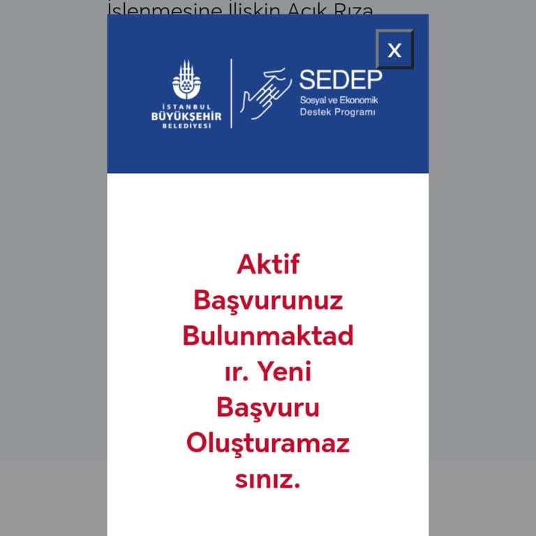 Yenidoğan Destek Paketi Başvurusunda Belirsizlik Ve Geri Dönüş Beklentisi