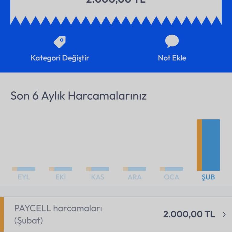 Yanlışlıkla Girdiğim Sitede Haksız Ücretlendirme