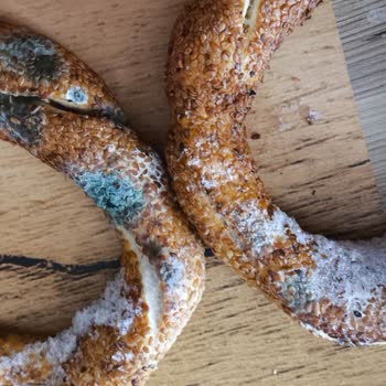 Dondurulmuş Simitte Küf Şoku