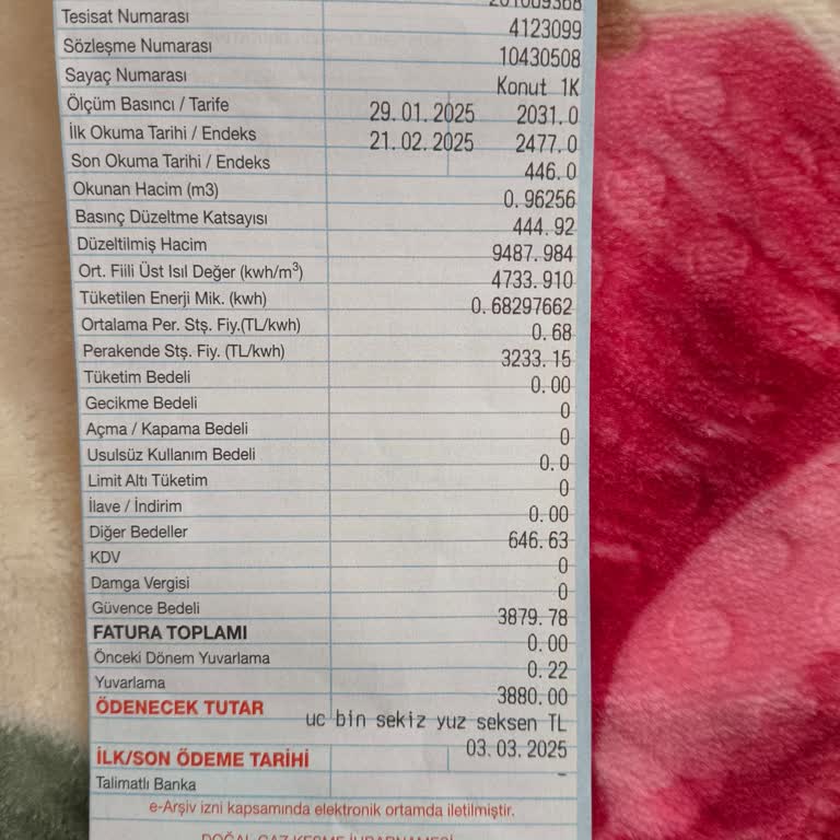 Fatura Şoku: 22 Günde 3900 TL!