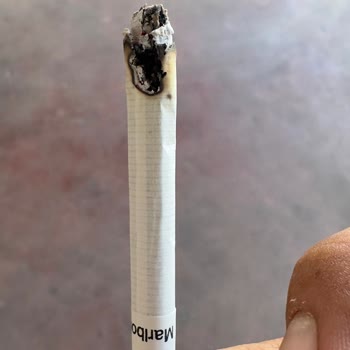 Philip Morris Marlboro Touch Blue Has Tobacco Stems and Lacks Quality Control