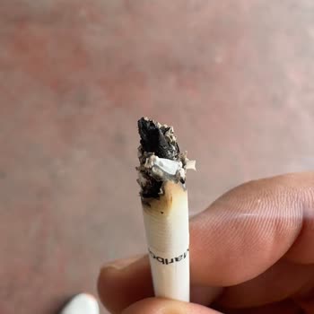 Philip Morris Marlboro Touch Blue Has Tobacco Stems and Lacks Quality Control
