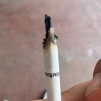 Philip Morris Marlboro Touch Blue Has Tobacco Stems and Lacks Quality Control