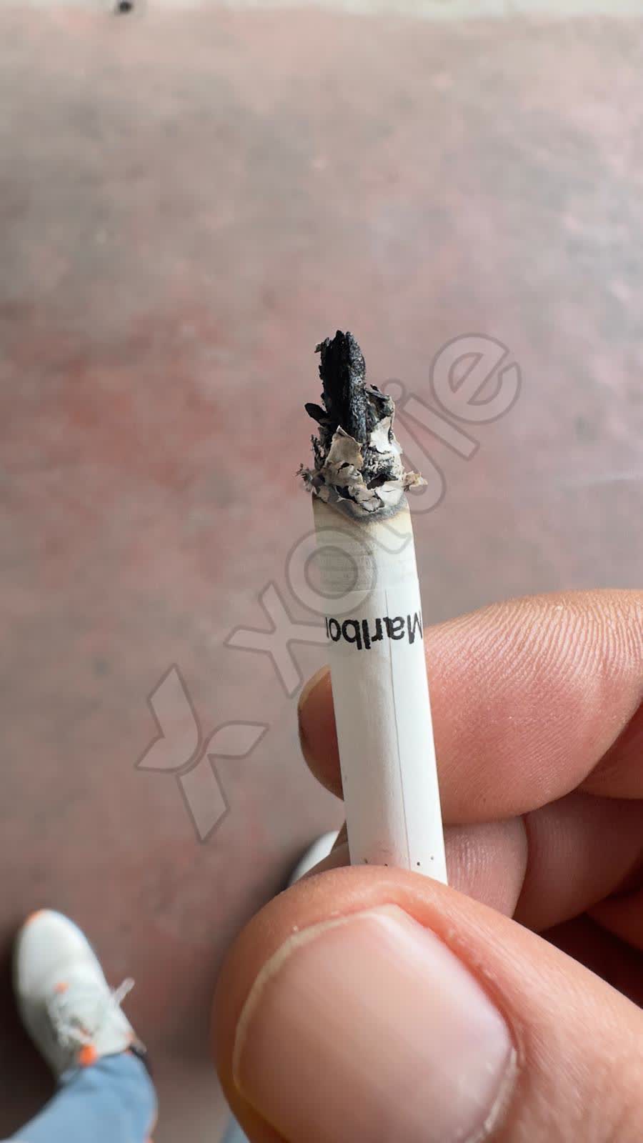 tobacco alkaloids Nicotine | Tobacco, Addiction, Poison