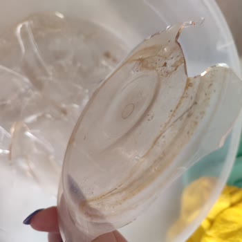 Philips Kahve Makinesi: Dayanıksız Demlik Ve Yüksek Yedek Parça Maliyeti