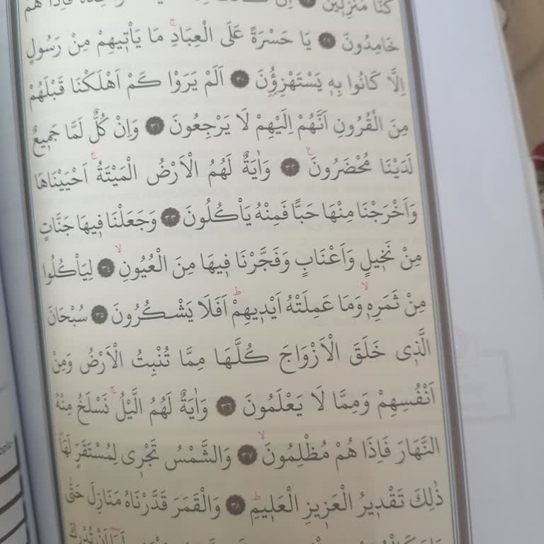 Çorlu İmam Hatip Lisesi Şikayetçiyim