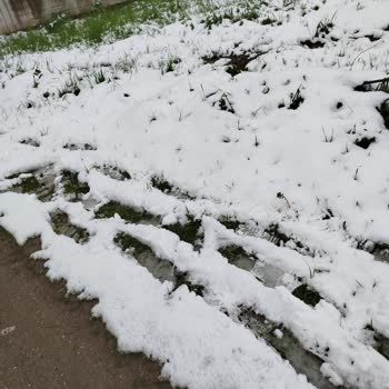 Küçücük Akyazı Otobüs Sorunu