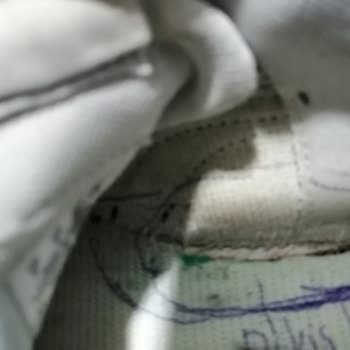In Street Mağazasından Aldığım Puma Ayakkabıda Yaşadığım Sorun Ve Çözüm Talebi