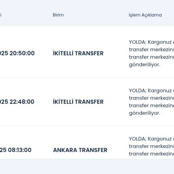 Aras Kargo'nun Karmaşık Teslimat Süreci