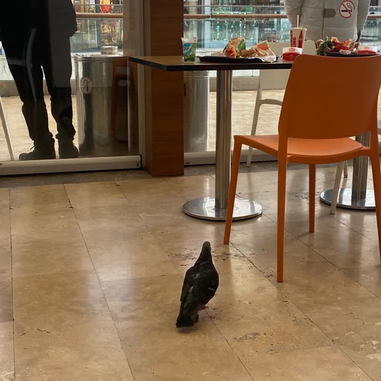 Metrogarden AVM'de Kış Aylarında Isıtma Sorunu