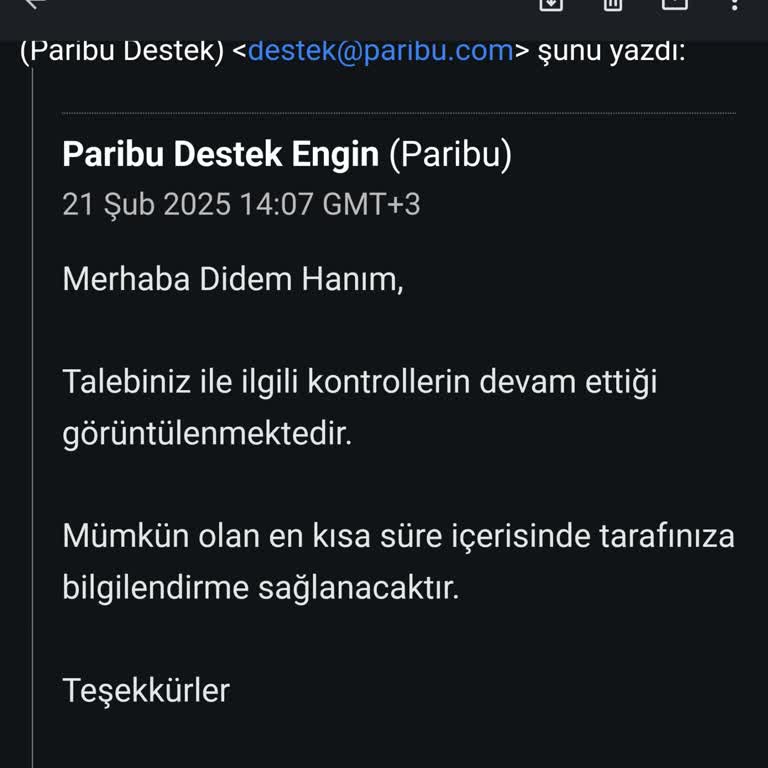 Hesap İnceleme Sürecindeki Gecikme Ve Para Çekme Sorunu