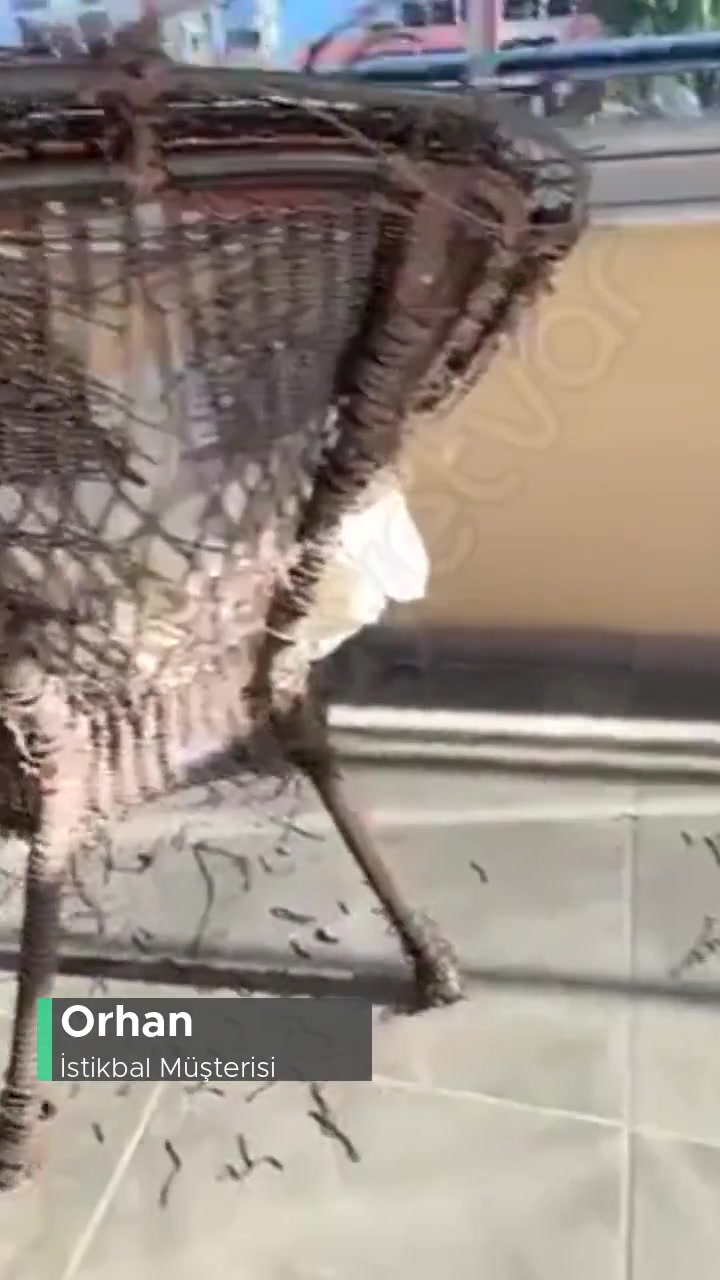 İstikbal Bahçe Mobilyası Bir Sene İçinde Bu Halle Geldi videonun kapak resmi