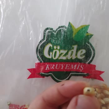 Kurtlu Hurma Ve Küflü Mısır: Sağlığımız Tehlikede!