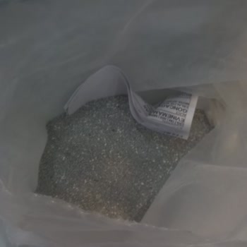 Kedime Gelen Kum Paketi Hayal Kırıklığı Yarattı