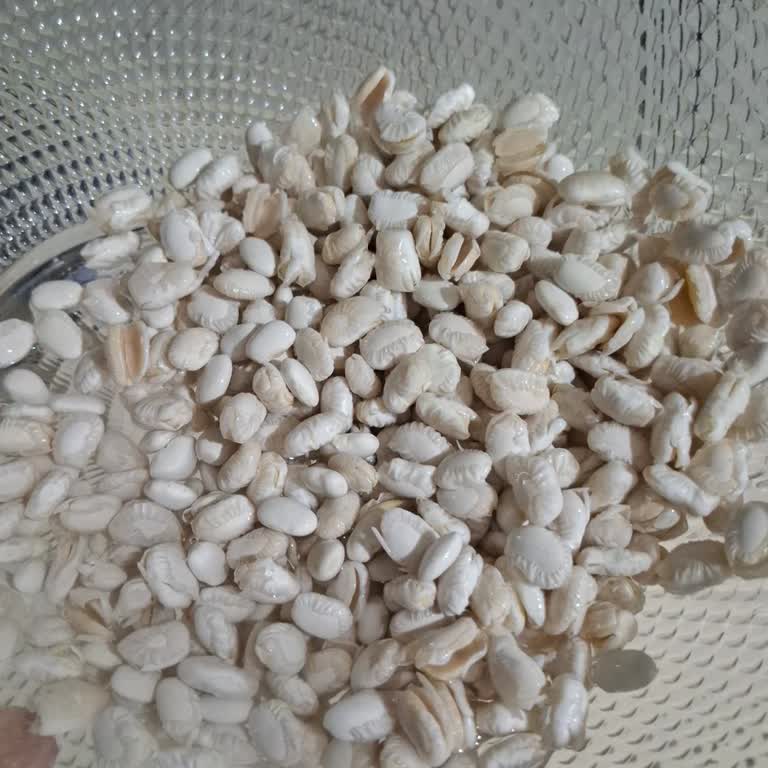 Derinkuyu Kurufasulye Hayal Kırıklığı